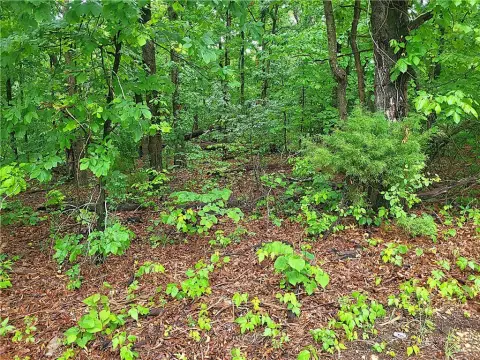 Buildable Corner Lot in Bella Vista