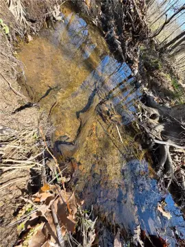 Ozark Mountain Wilderness Retreat