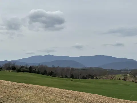 24-Acre Property with Building Sites