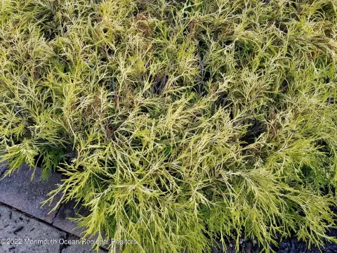Vacant Land in Berkeley, NJ