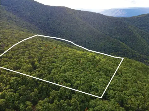 Wooded Mountain Hunting Land