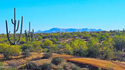 Scottsdale Land Bordering National Forest