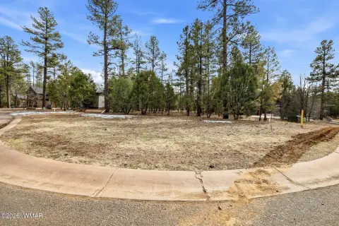 Treed Homesite in Show Low