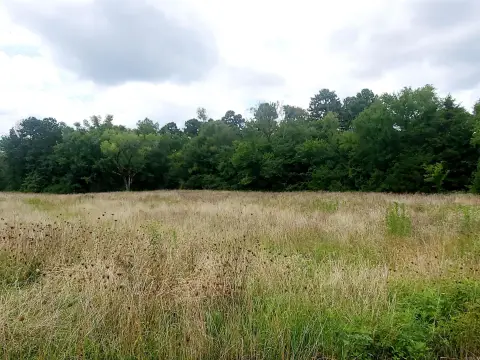 Mena, AR Commercial Lot