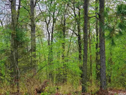 Wooded Lot in Gated Community