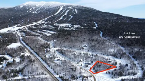 Ski-In/Ski-Out Mountain View Lot