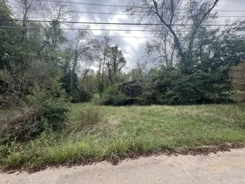 Residential Lot in Thayer, MO