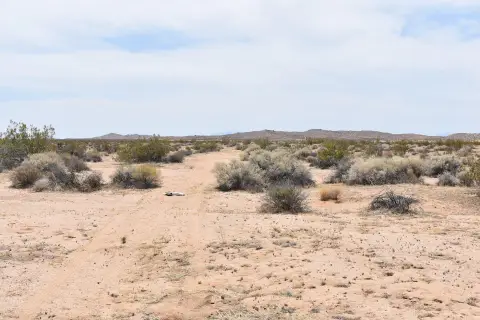 Hi Vista Agricultural Land