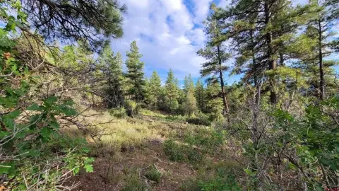 Pagosa Springs Wooded Mountain Property