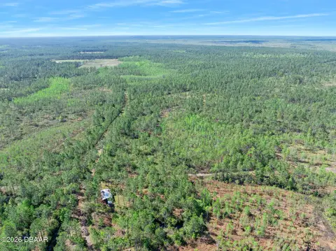 Hunting Land with Rustic Camp