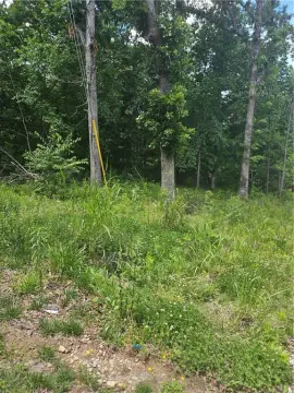 Residential Building Lot