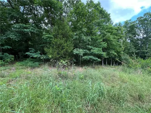 Residential Lot in Bella Vista