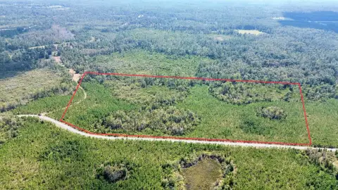 Hunting Land with Planted Pines