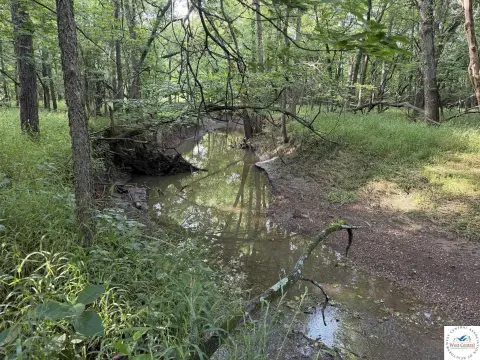 Hunting and Farmland Tract