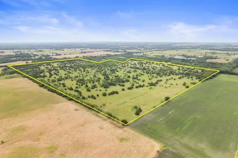 136 Acres Near Whitewright, TX