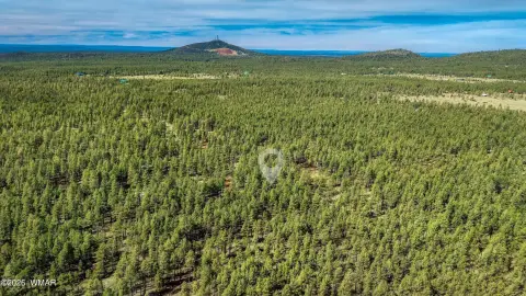 Lakeside AZ Land Opportunity