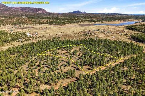 6.66 Acres in Alpine, AZ