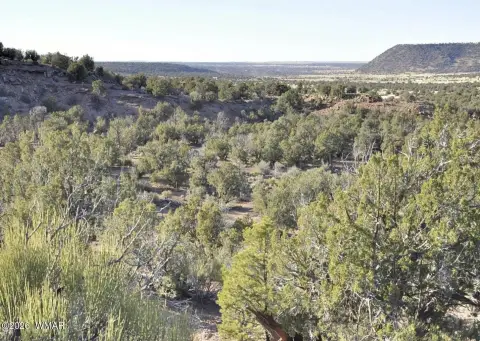 Arizona Land with Expansive Views