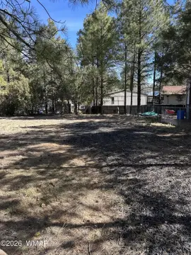 Land in Show Low, AZ