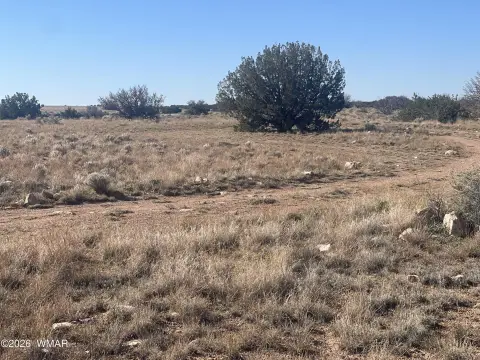 Heber, AZ Land Parcel