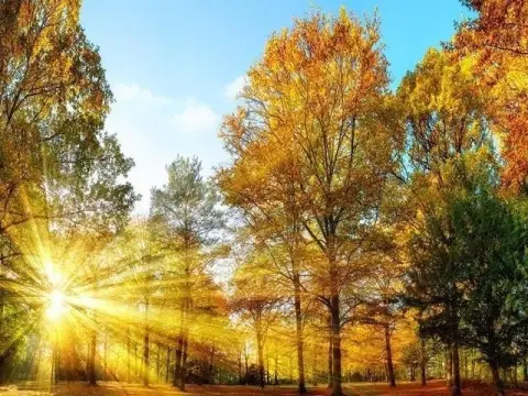 Residential Land in Premier Location