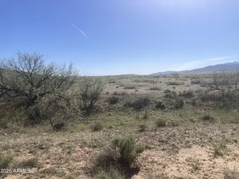 Vacant Land in Willcox Basin
