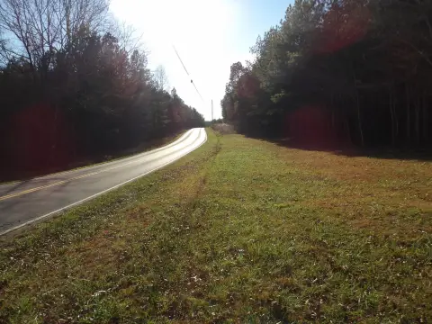 Level Farmland with Road Frontage