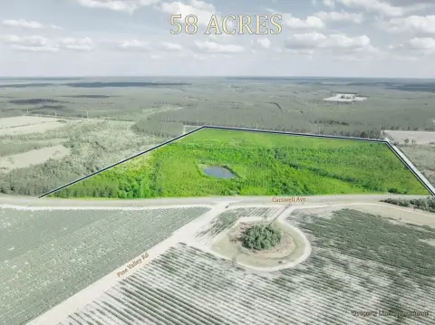 58 Acres in Waycross, Georgia