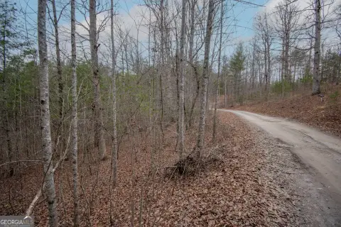Land in Western North Carolina