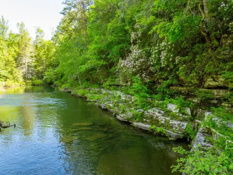 Secluded Tennessee Land with Creek
