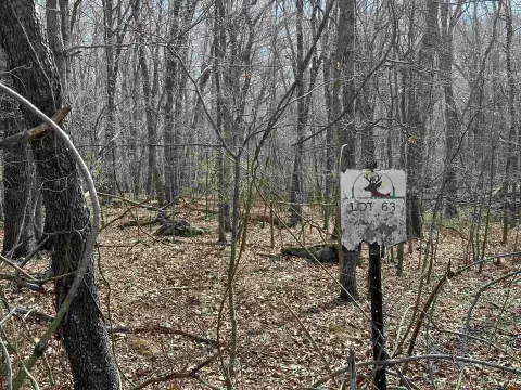 Residential Land in Blacksburg, VA