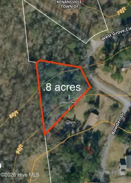 Wooded Lot in Kenansville, NC