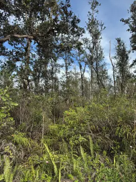 Vacant Land in Orchid Land