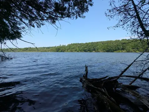 Land Near Garland Pond