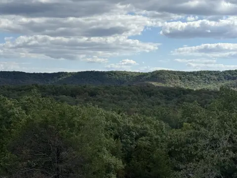 Wooded Land Near Forest Service