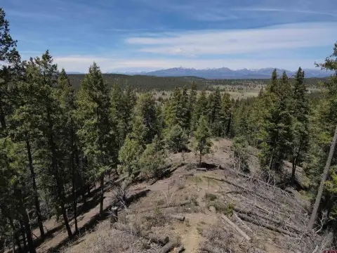 Residential Land Backing National Forest