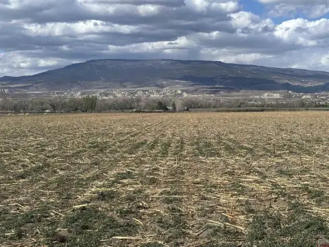 Irrigated Land with Mountain Views