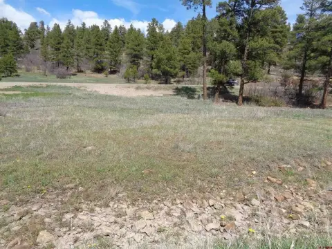 Level Building Lot Near Amenities