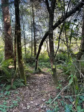 Oversized Lot in Crescent City