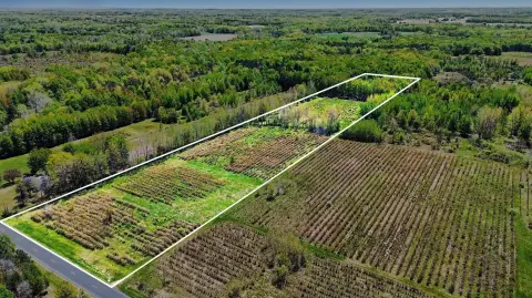Agricultural Land with Wooded Terrain
