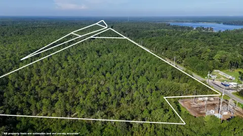 North Florida Hunting Land