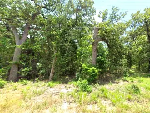 Residential Lot in Malakoff, TX