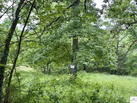 15 Acres Hunting/Residential Land