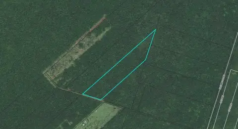 Volcano, HI Untouched Land