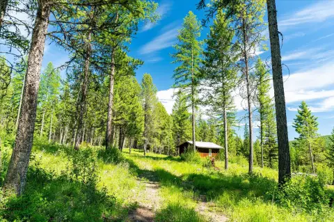 Montana Land with Cabin