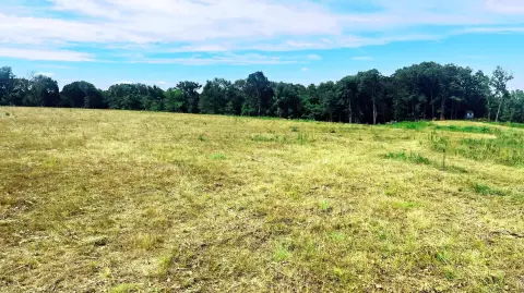 Exeter, MO Land For Sale