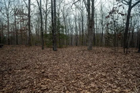 Secluded Acreage with Hunting Potential