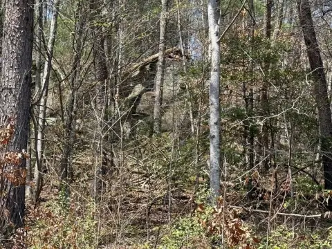 Wooded Land Near Lake Appalachia