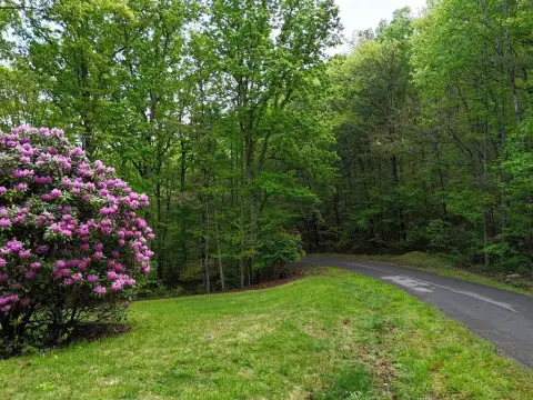 North Georgia Mountain Land
