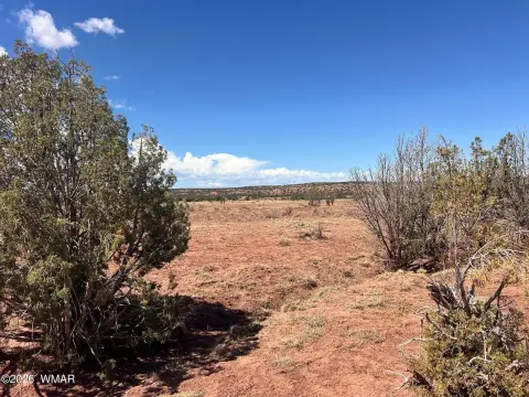 Land with Black Mesa View